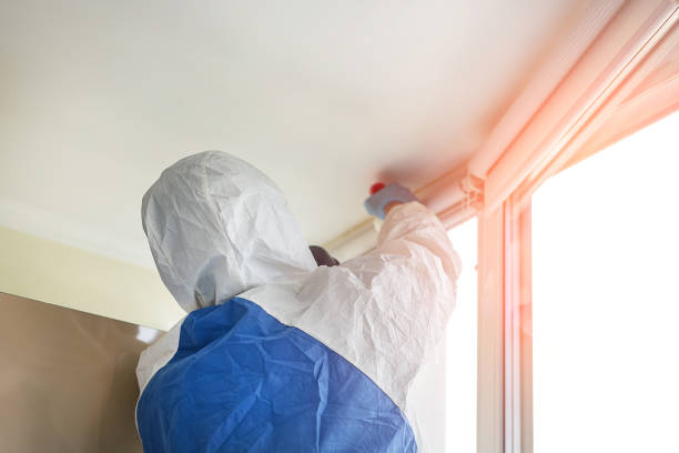 Best Mold Damage Restoration  in Mount Sinai, NY