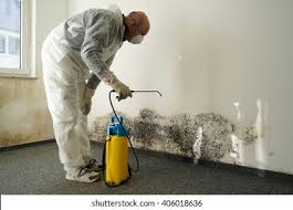 Best Biohazard Mold Removal  in Mount Sinai, NY